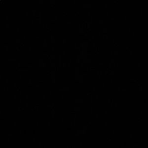 Meet your Posher, Annette